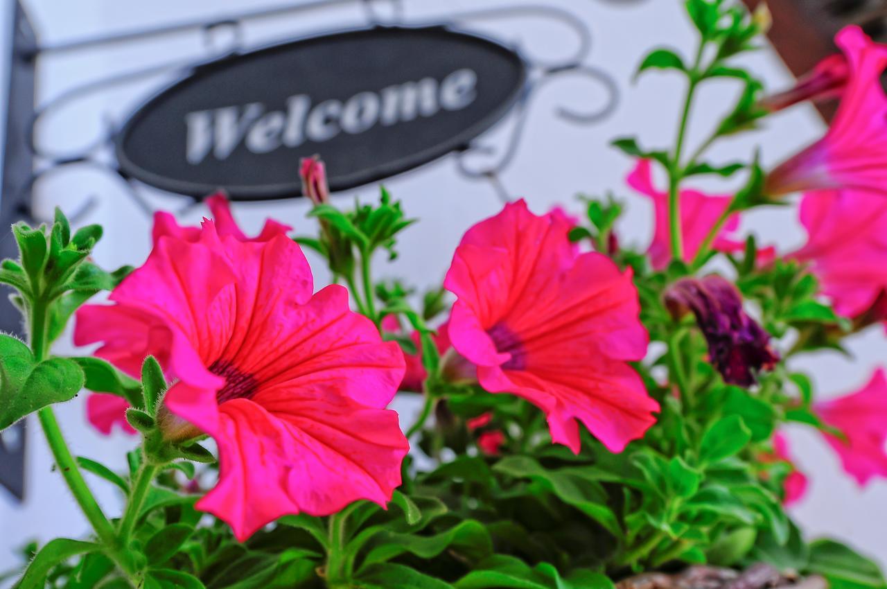 Faros Hotel Áfissos Dış mekan fotoğraf